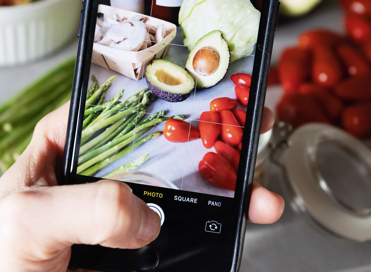 Diet and Exercise Blogs Are BLOWING UP!